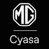 Negocio Cyasa Mg